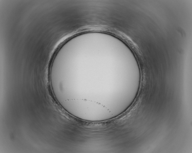 X0000110961174200906191043