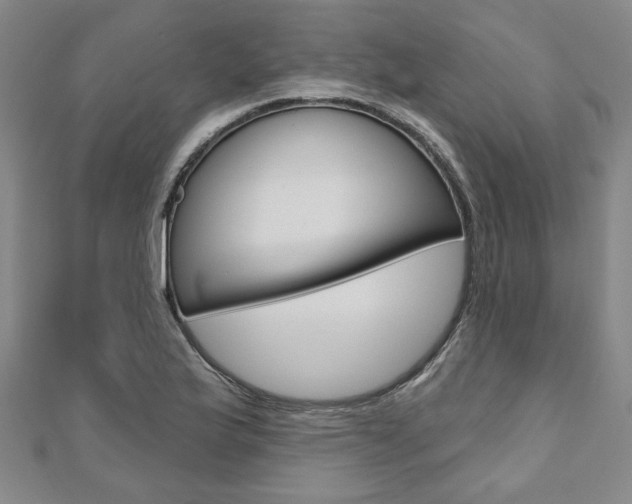 X0000110961175200906191043