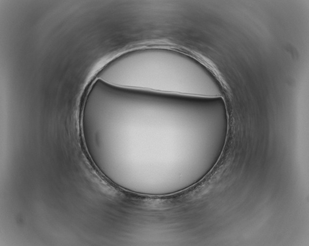 X0000110961176200906191043