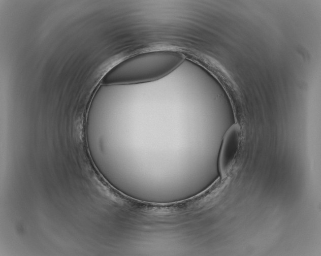 X0000110961177200906191043