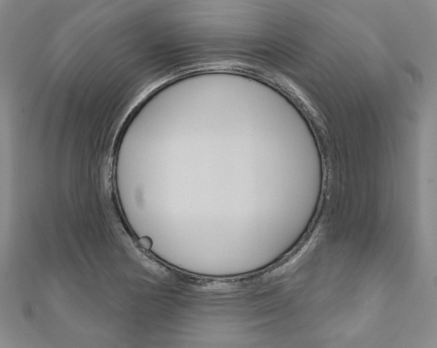 X0000110961178200906191043