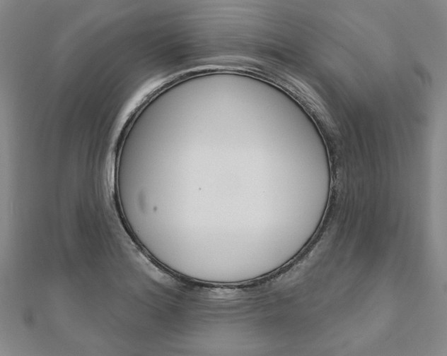 X0000110961180200906191043