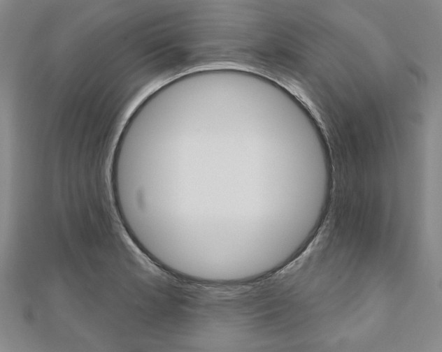 X0000110961181200906191043