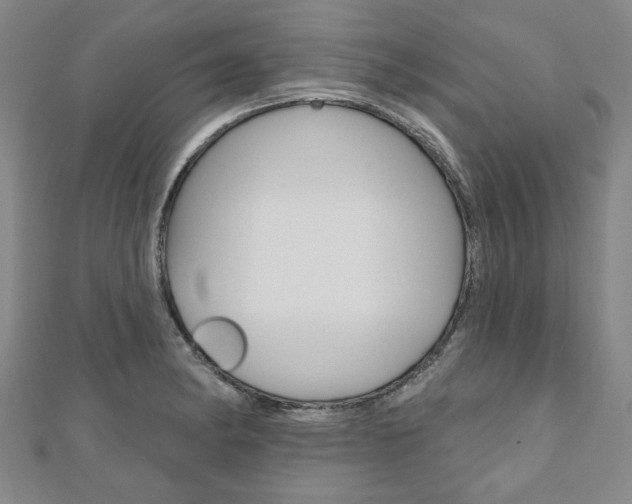 X0000110961182200906191043