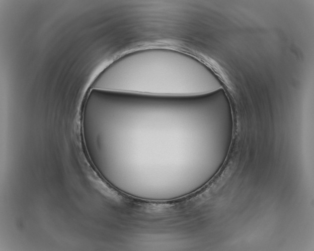 X0000110961184200906191043