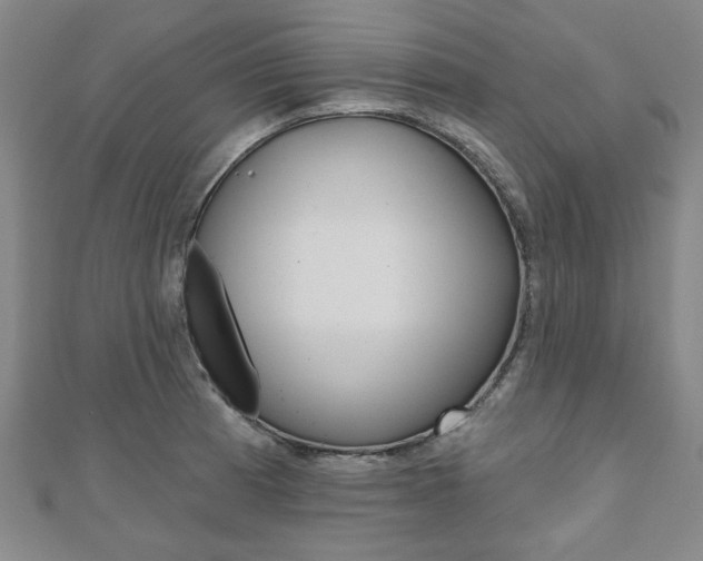 X0000110961185200906191043