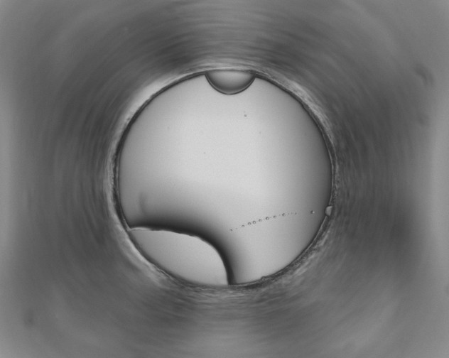 X0000110961187200906191043