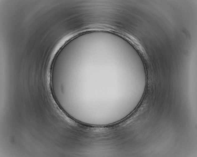 X0000110961188200906191043