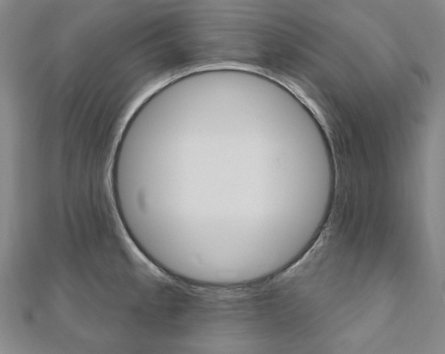 X0000110961189200906191043