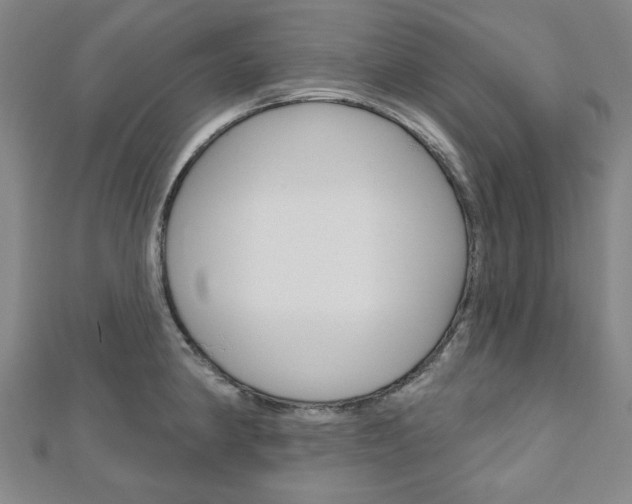 X0000110961190200906191043