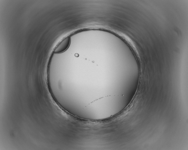 X0000110961191200906191043