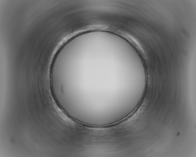 X0000110961192200906191043