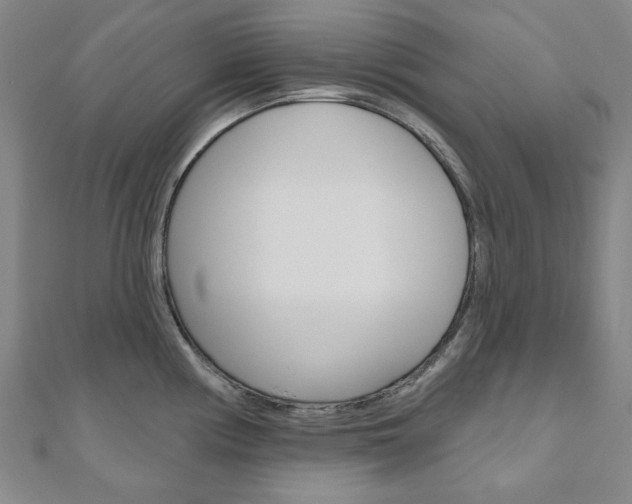 X0000110961194200906191043