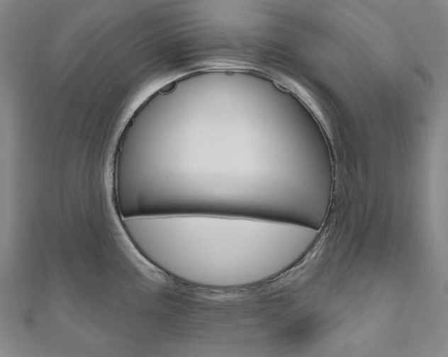 X0000110961195200906191043