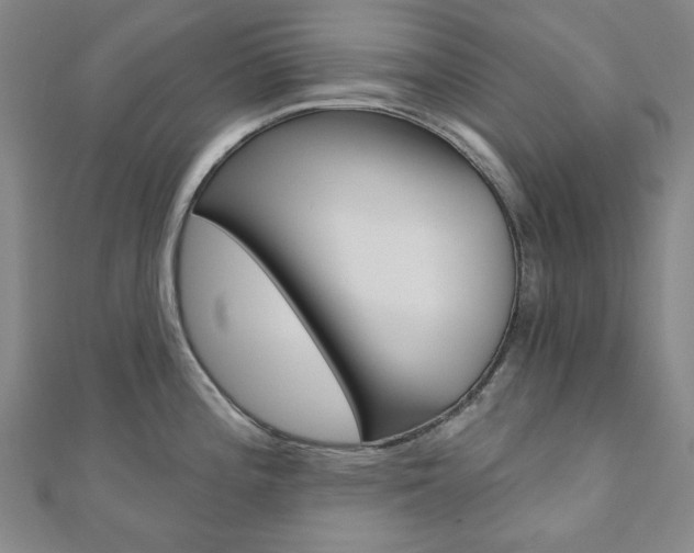 X0000110961196200906191043