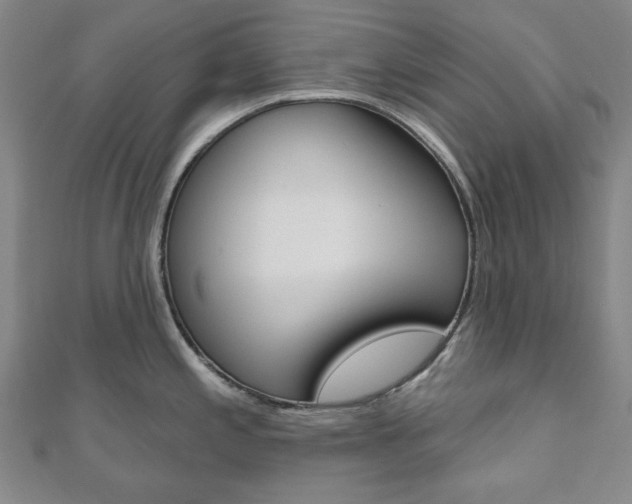 X0000110961197200906191043