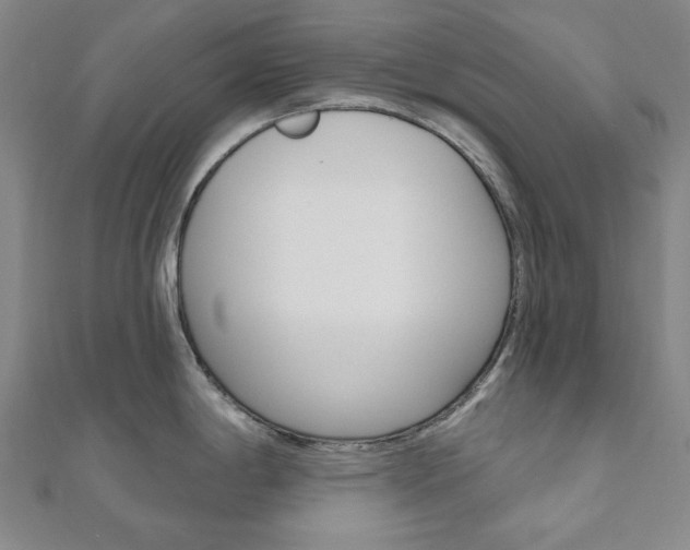 X0000110961198200906191043