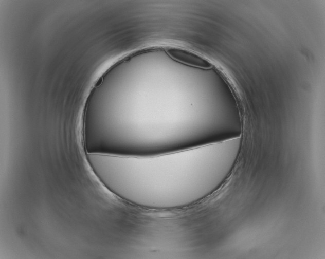 X0000110961199200906191043