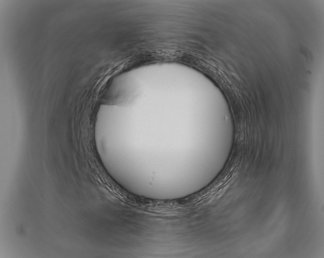 X0000110961201200906191042