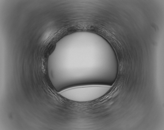 X0000110961202200906191042