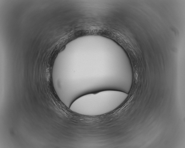 X0000110961204200906191042