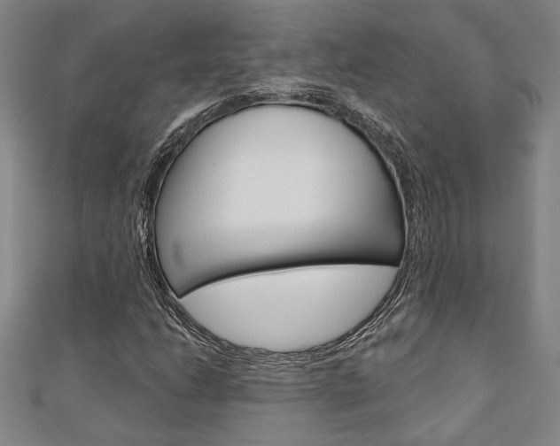X0000110961206200906191042