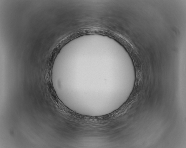 X0000110961207200906191042