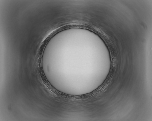 X0000110961208200906191042
