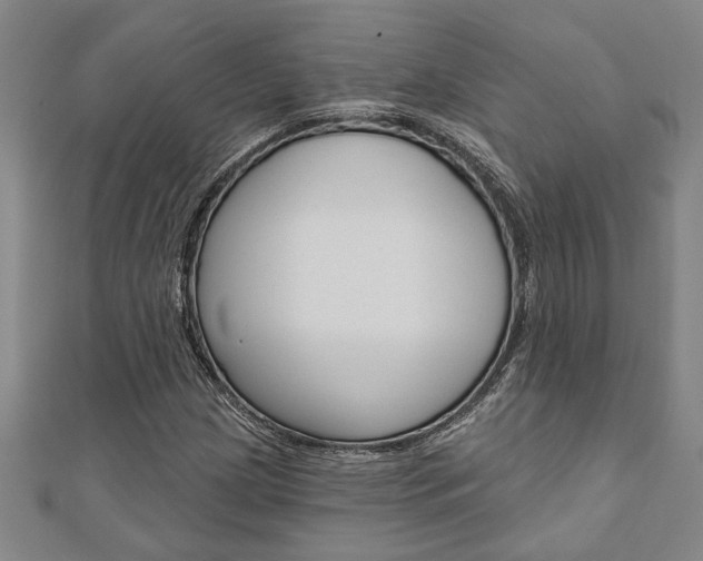 X0000110961209200906191042