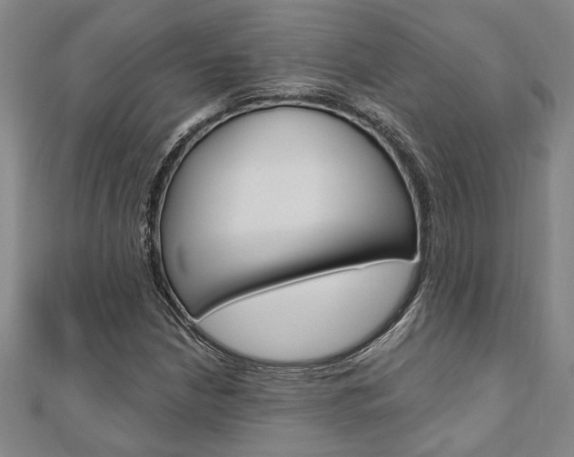 X0000110961210200906191042