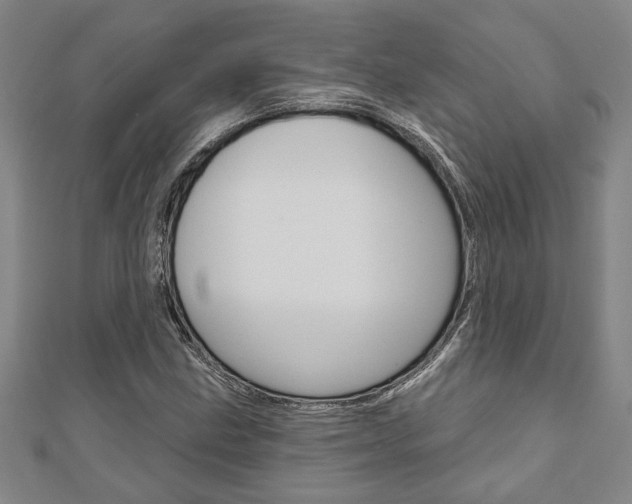 X0000110961211200906191042