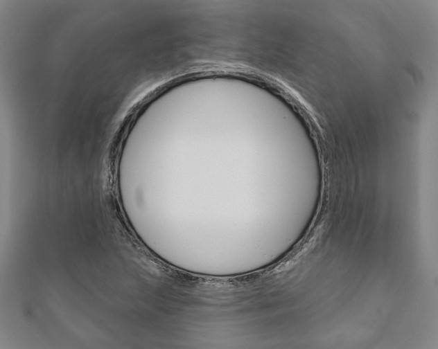 X0000110961215200906191042