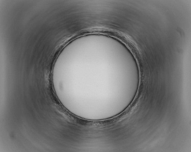 X0000110961217200906191042