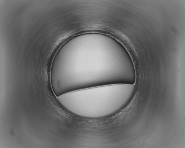X0000110961218200906191042