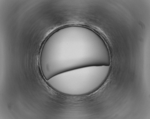 X0000110961220200906191042