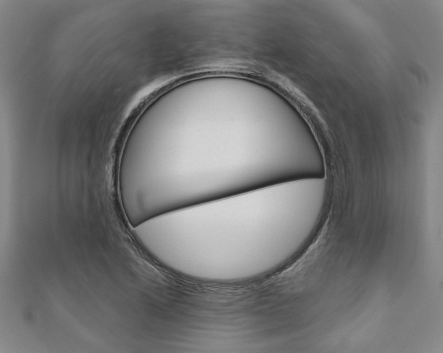X0000110961222200906191042