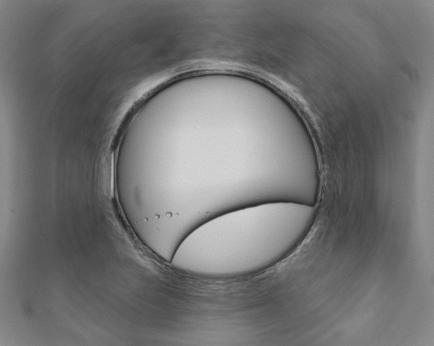 X0000110961223200906191042