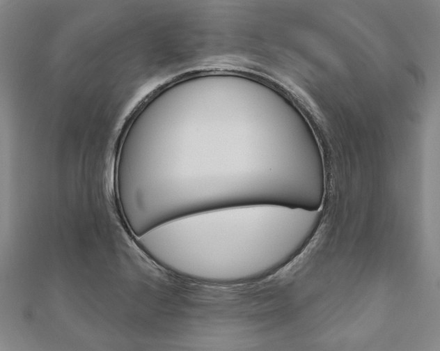 X0000110961224200906191042