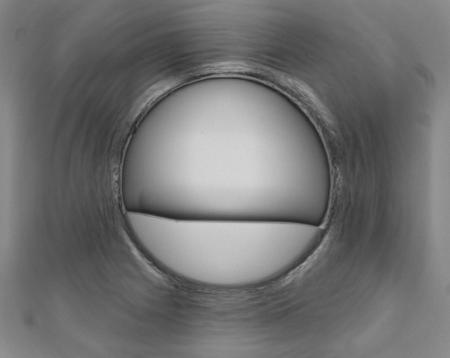 X0000110961225200906191042