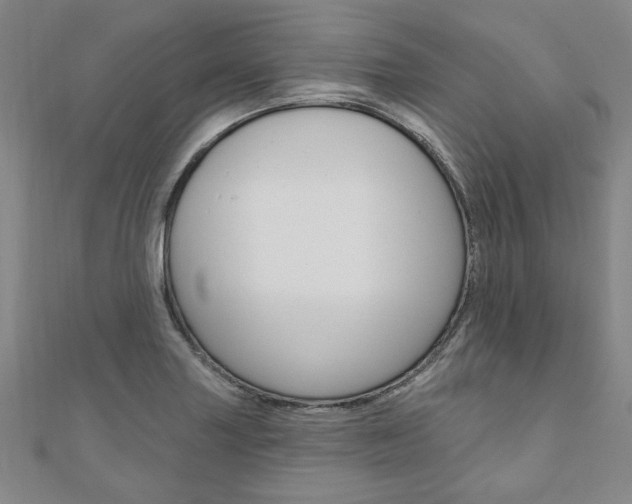 X0000110961227200906191042
