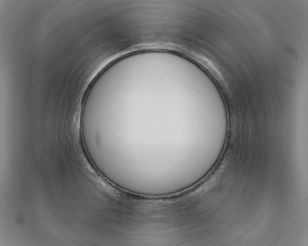X0000110961228200906191042