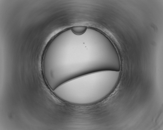 X0000110961230200906191042