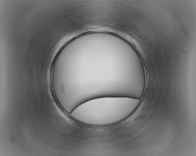 X0000110961231200906191042