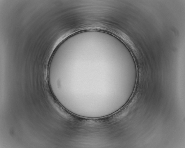 X0000110961234200906191043