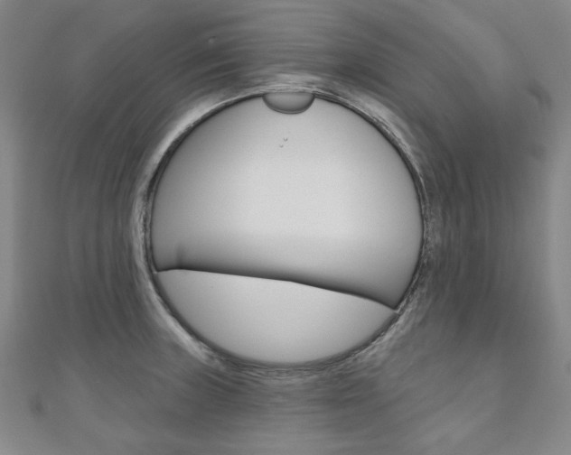 X0000110961235200906191043