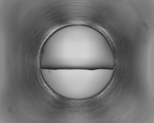 X0000110961236200906191043
