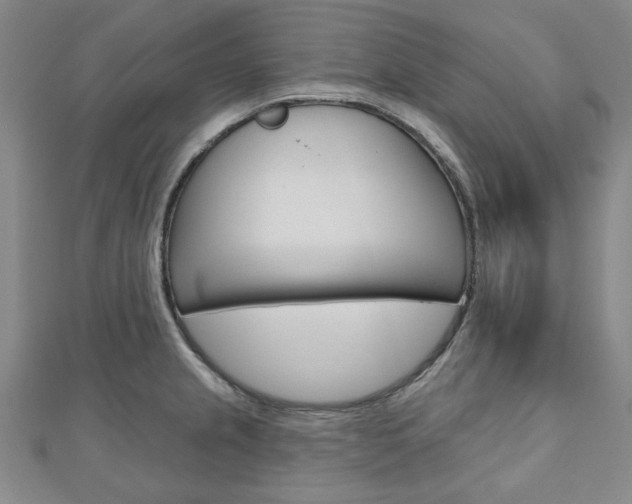X0000110961237200906191043