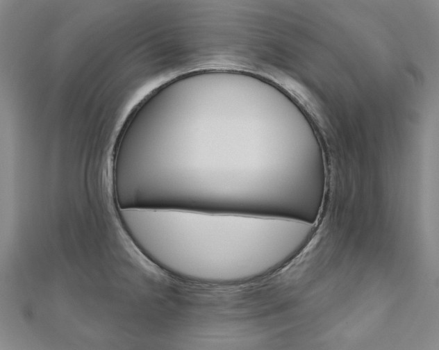 X0000110961238200906191043