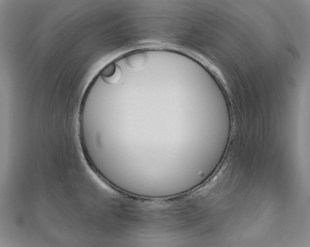 X0000110961239200906191043