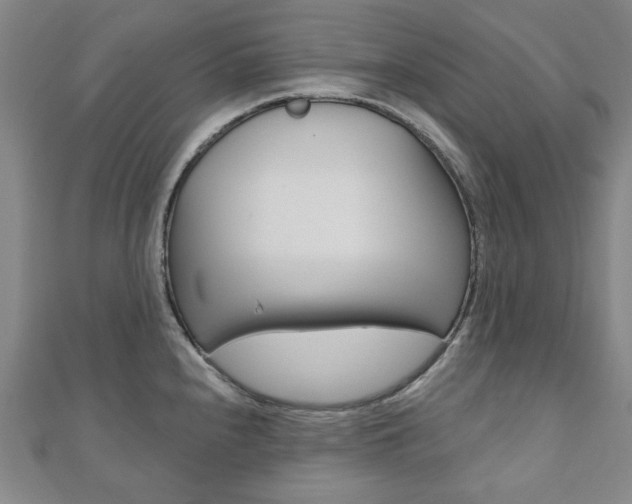 X0000110961240200906191043